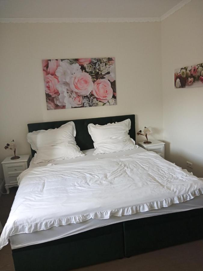 Villa Rosali Boutique Hotel 함브루크 외부 사진