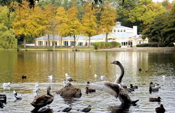 Villa Rosali Boutique Hotel 함브루크 외부 사진